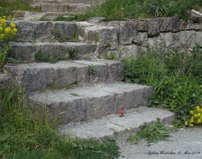 TatzeTeddy Hermann Hirschhaid